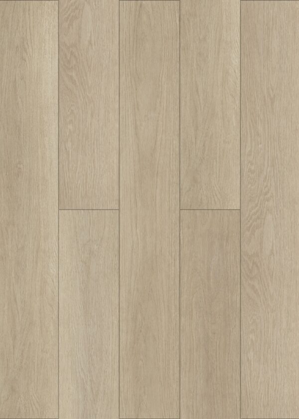 BSW771 Dove Oak