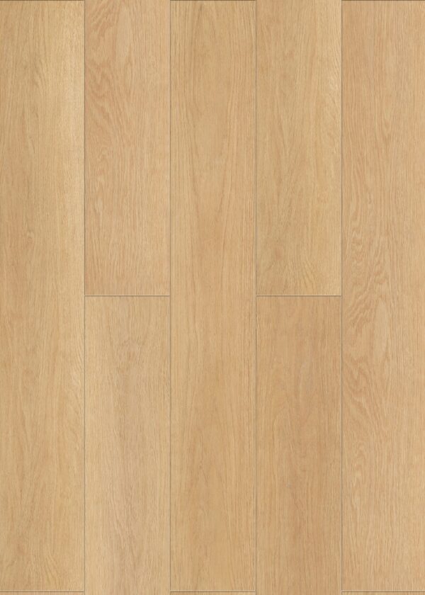 BSW773 Fez Oak