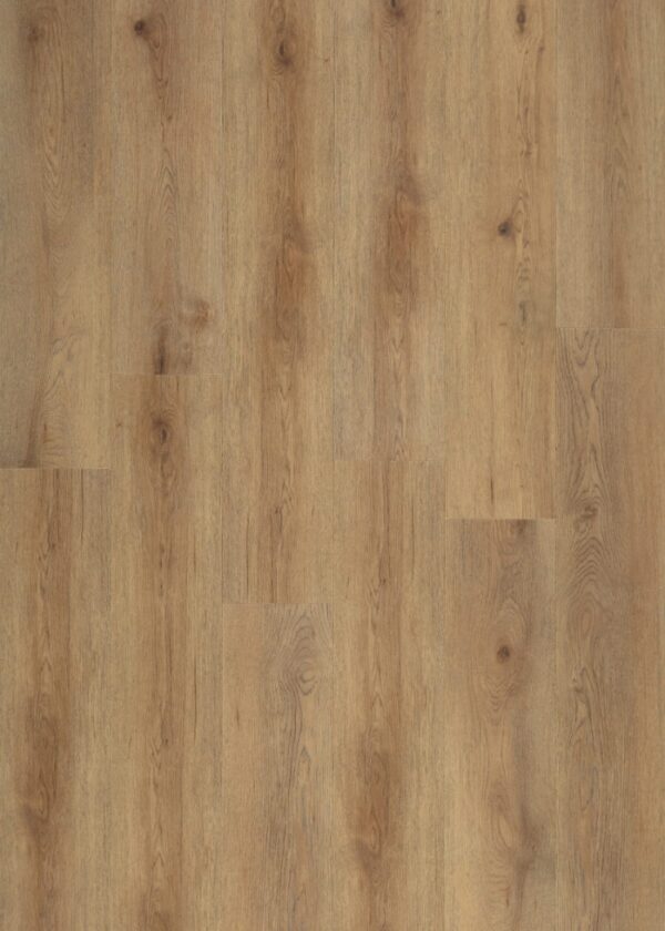EEW914 Taku Oak