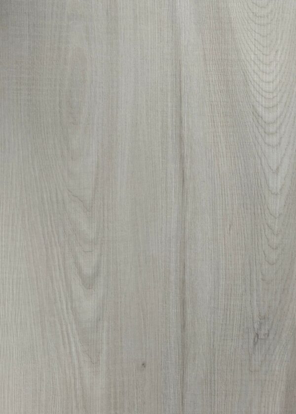 ELC311 Sepia Elm