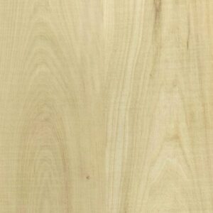 ELC312 Muji Elm