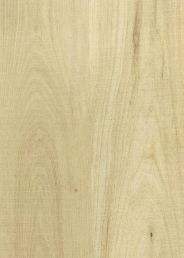 ELC312 Muji Elm