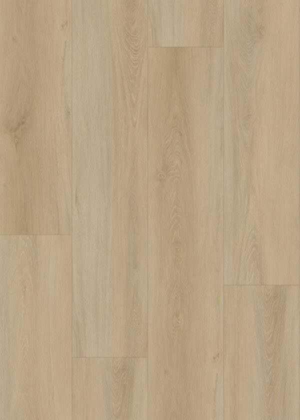 ELC317 Desert Oak