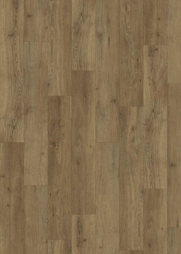 ELC318 Havana Oak