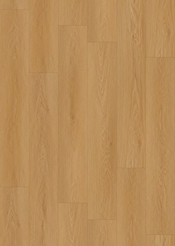 ELF1204 WG Baltic Oak