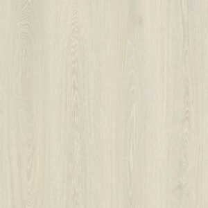 ELF1581 EIR Kitami Oak