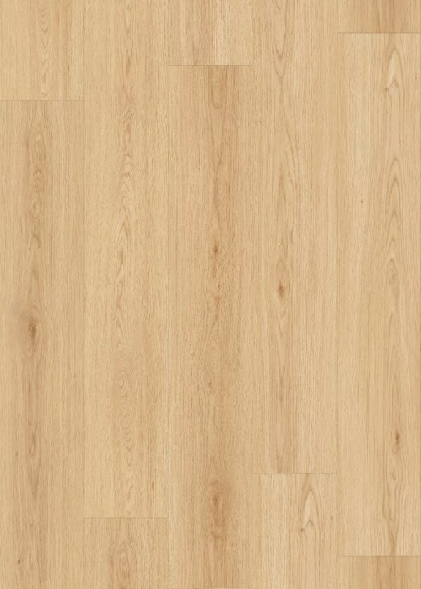 ELF1582 EIR Akemi Oak