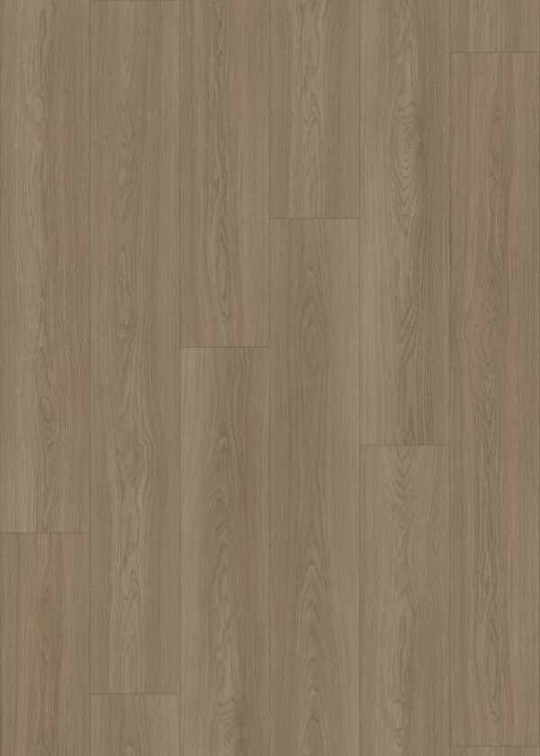 ELF1583 EIR Imperial Oak