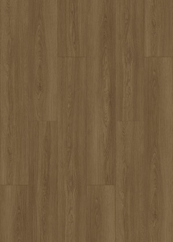 ELF1584 EIR Sable Oak