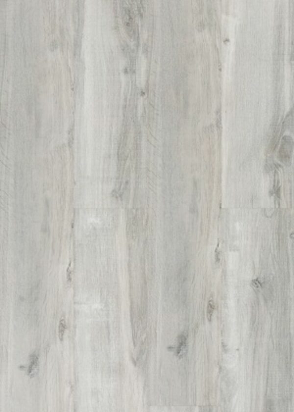 O131SG Manet Oak