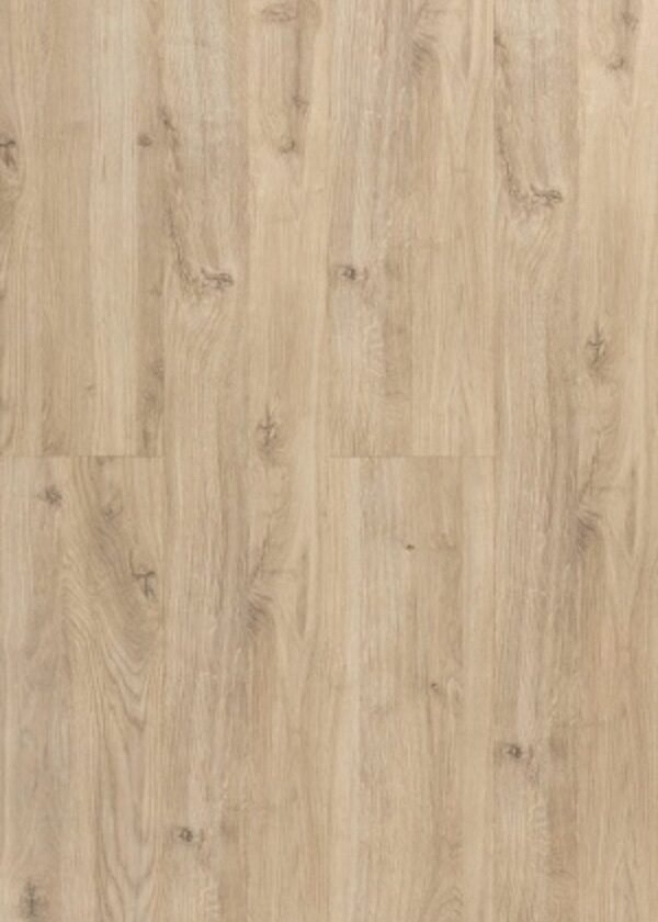 O133SG Cardiz Oak