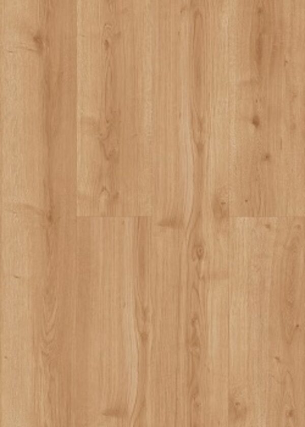 RB2101DE Gante Oak